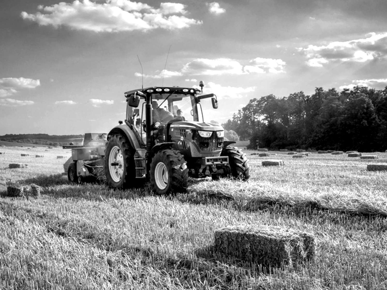 Agriculture & Farming