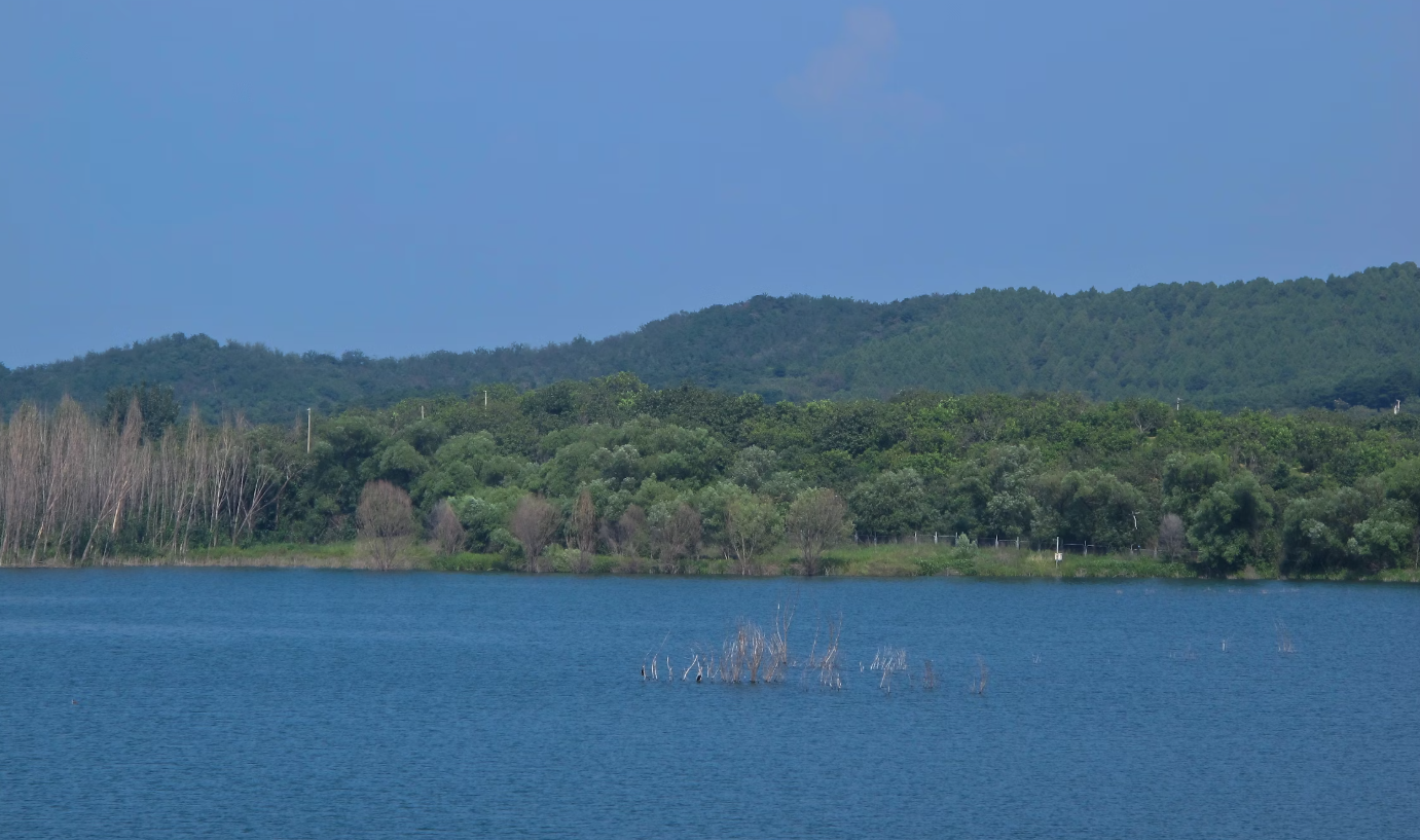 Beautiful serene lake view in Vilanculos, Mozambique with crystal clear blue water and lush green vegetation